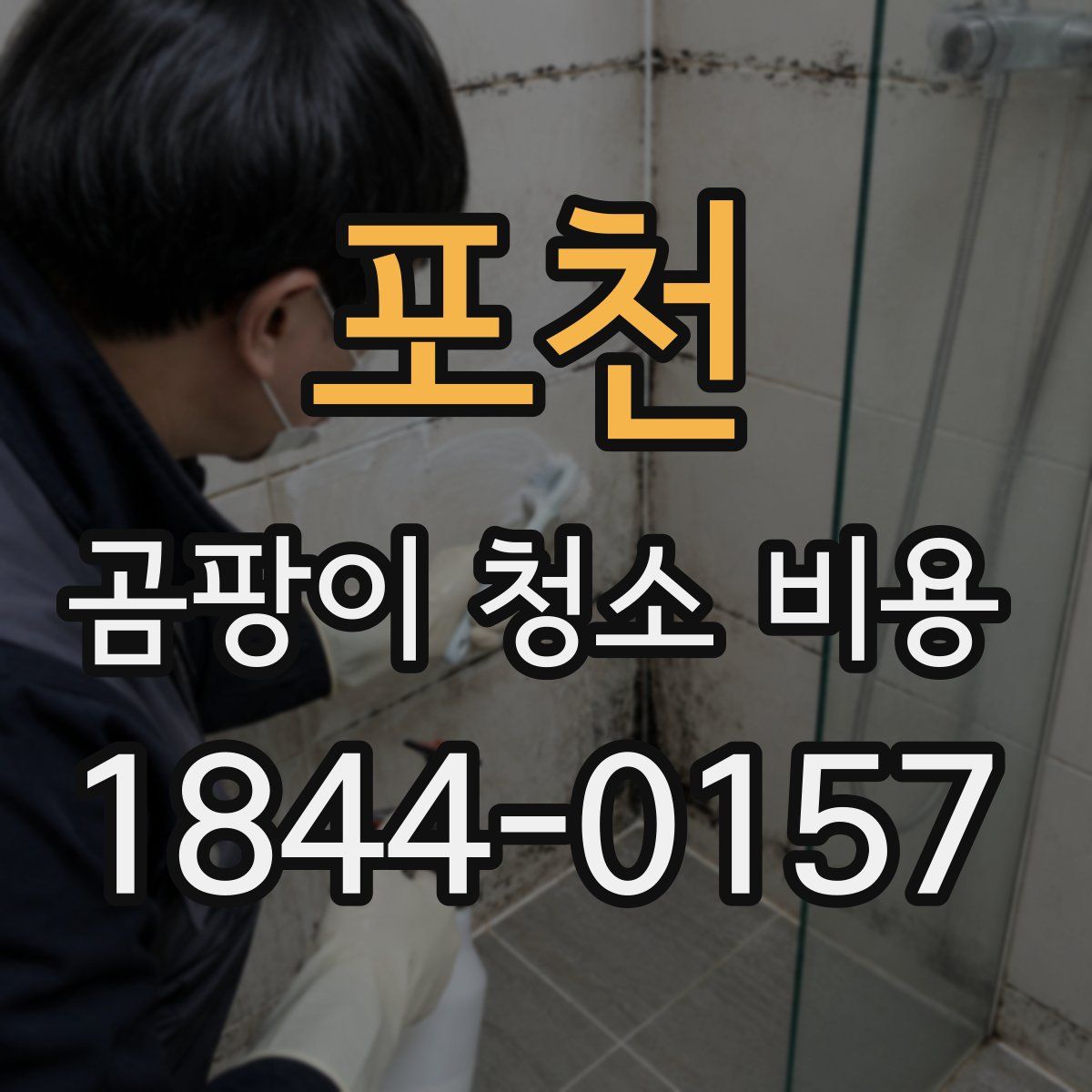 포천 곰팡이 청소 비용