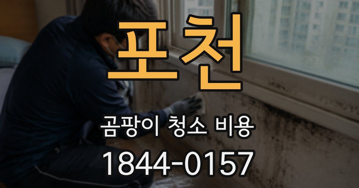 포천 곰팡이 청소 비용
