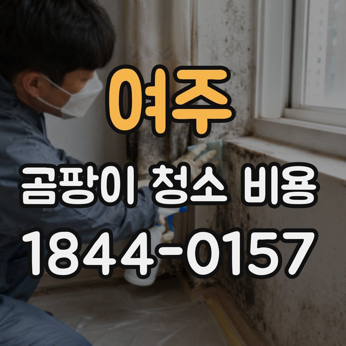 여주 곰팡이 청소 비용 실리콘·타일 틈 제거 범위 정리