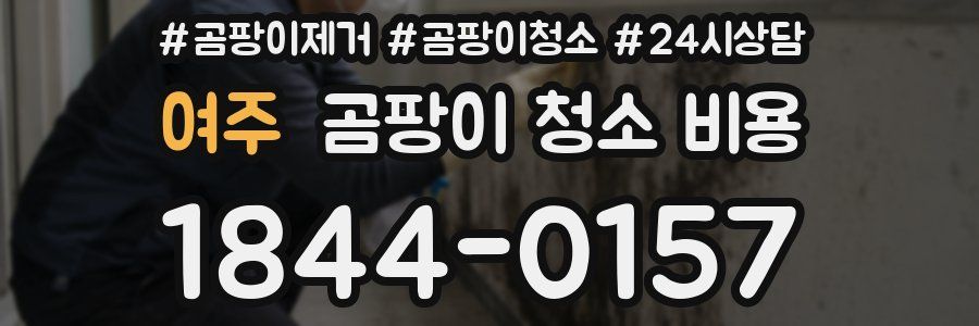 여주 곰팡이 청소 비용