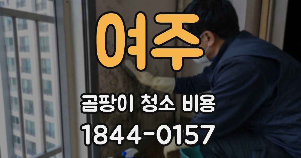 여주 곰팡이 청소 비용