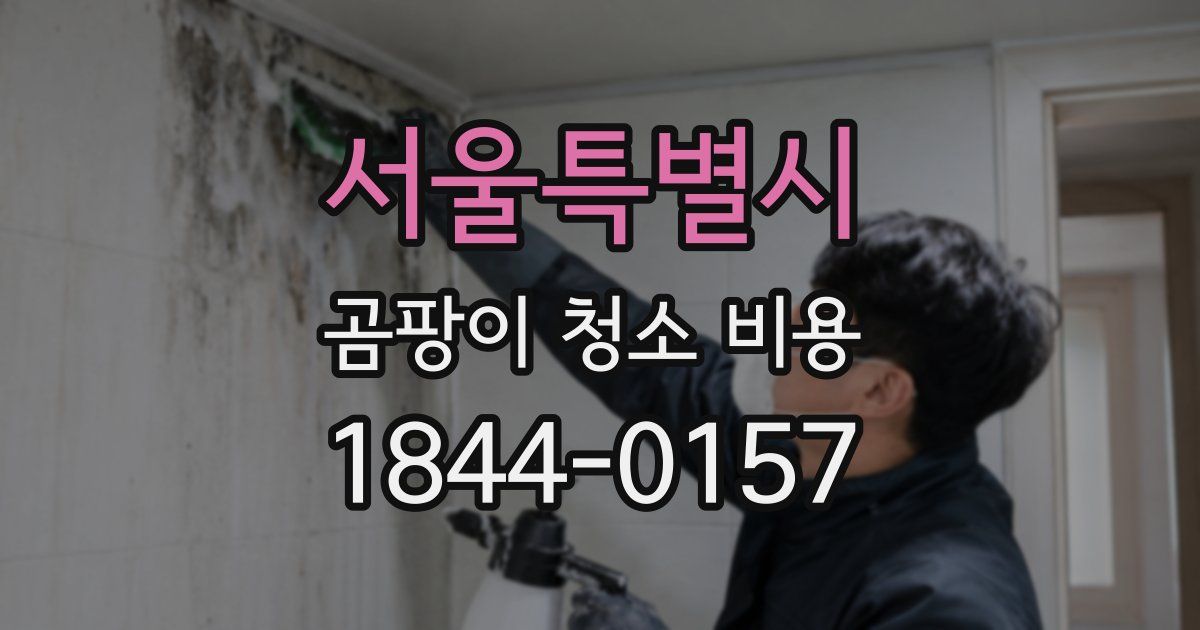 서울특별시 곰팡이 청소 비용