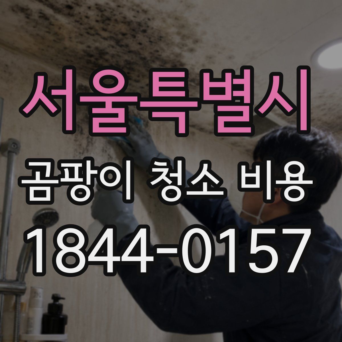 서울특별시 곰팡이 청소 비용