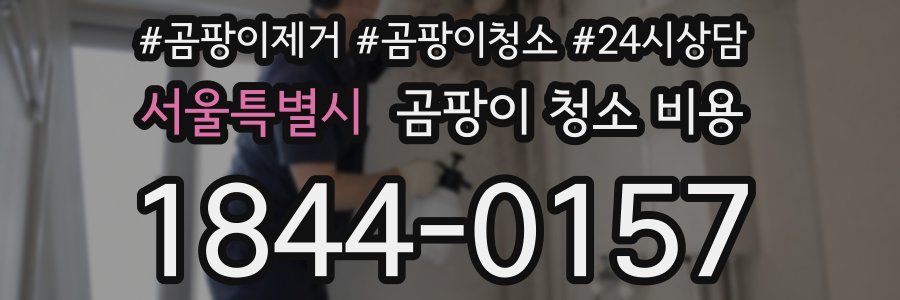 서울특별시 곰팡이 청소 비용