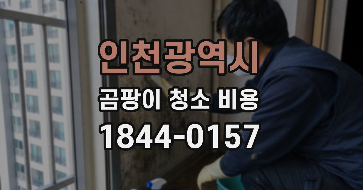 인천광역시 곰팡이 청소 비용
