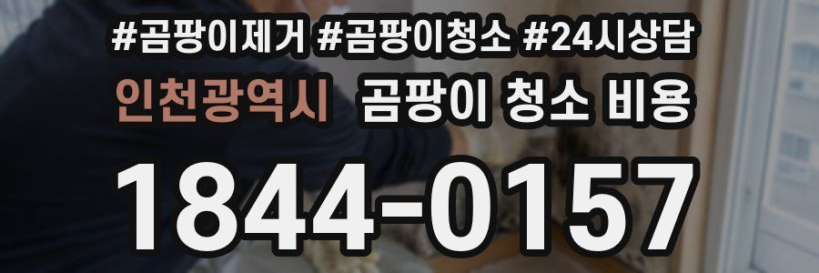 인천광역시 곰팡이 청소 비용