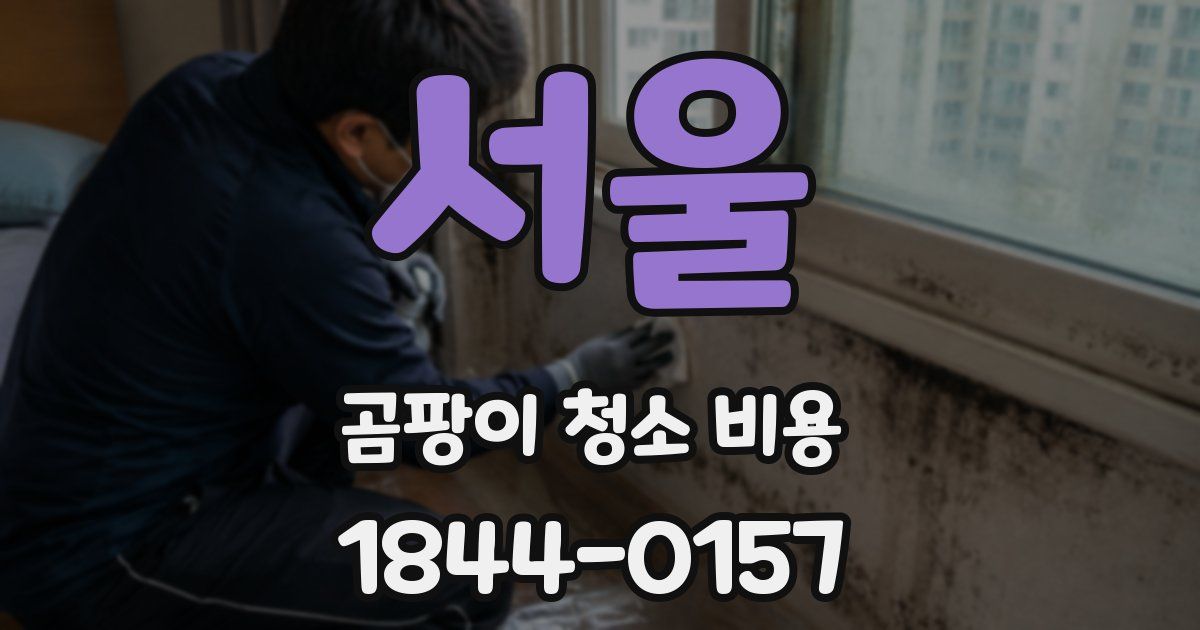 서울 곰팡이 청소 비용