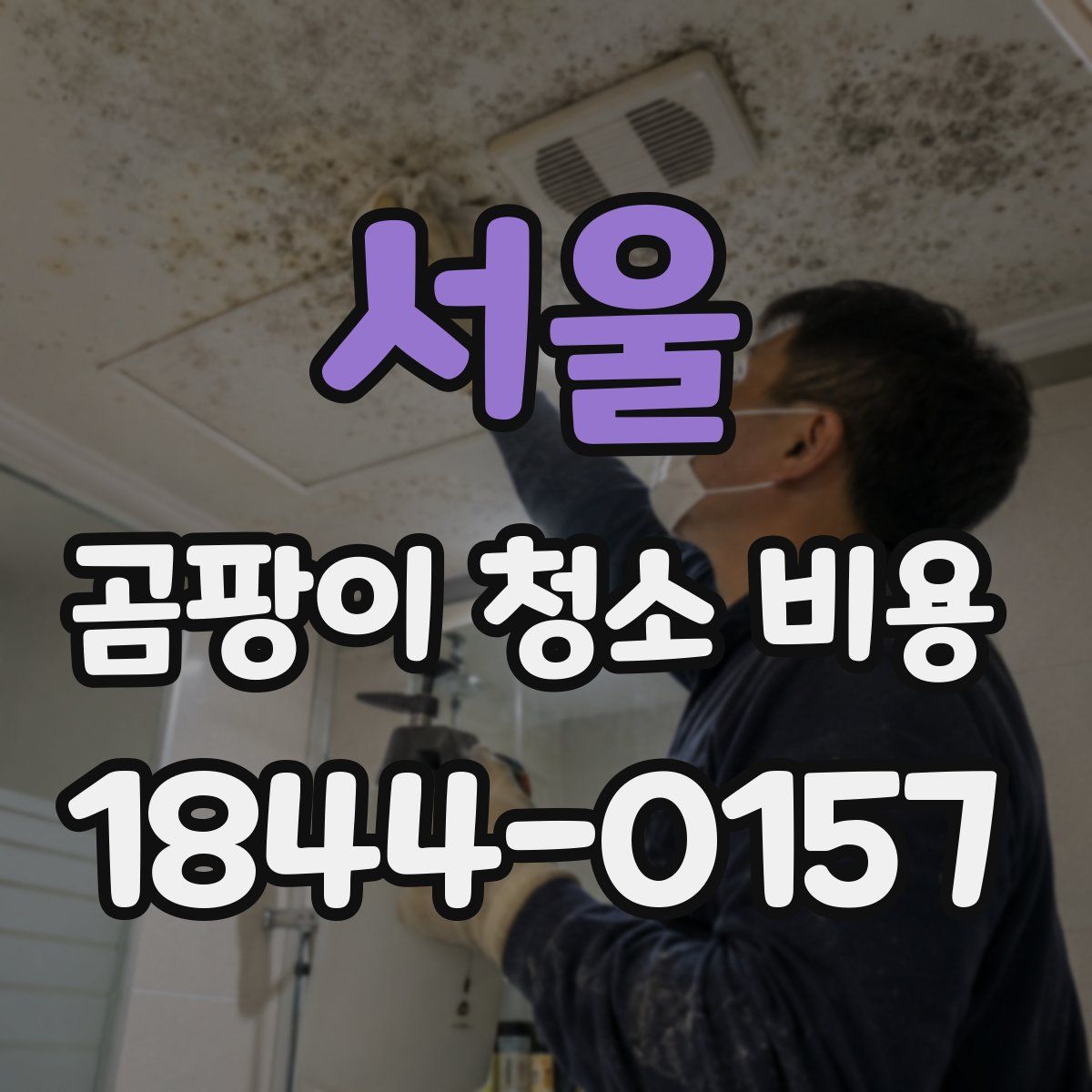 서울 곰팡이 청소 비용