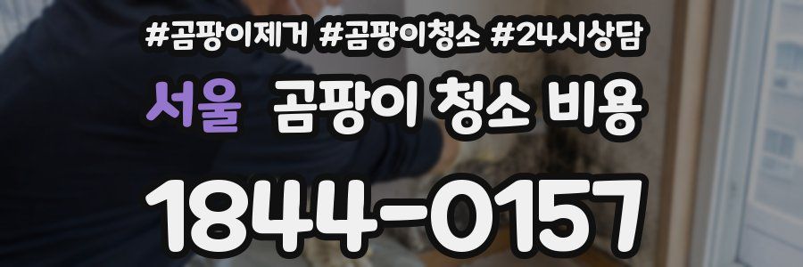 서울 곰팡이 청소 비용