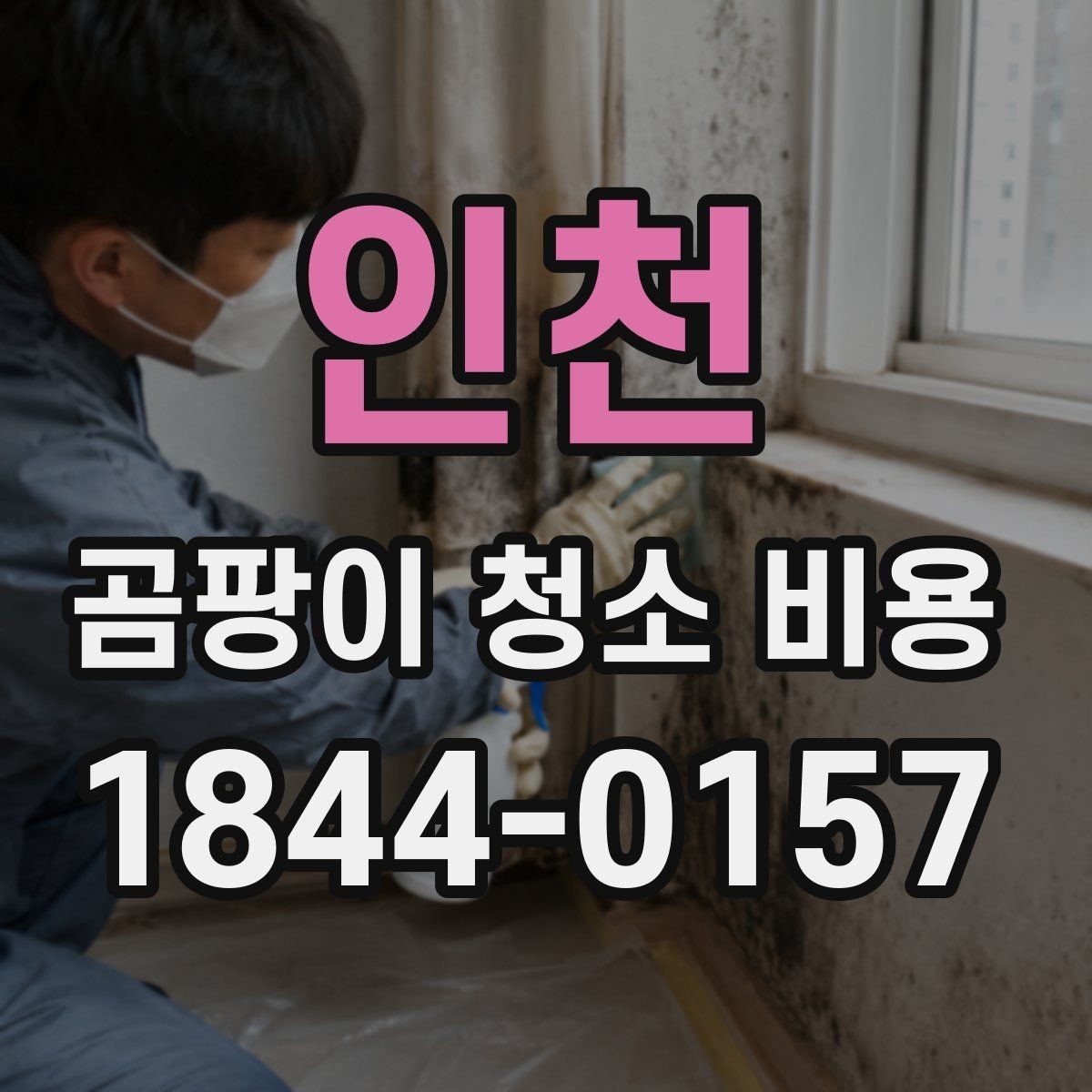 인천 곰팡이 청소 비용 원룸과 오피스텔에서 자주 묻는 항목