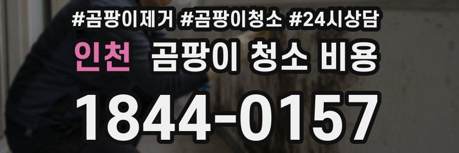 인천 곰팡이 청소 비용
