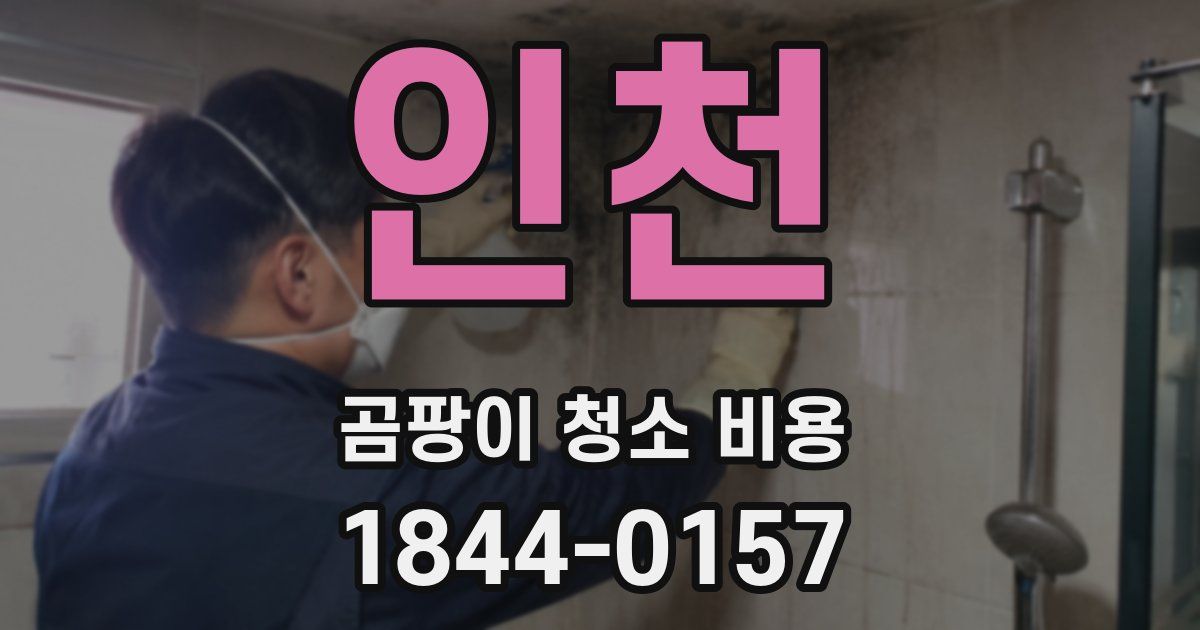 인천 곰팡이 청소 비용
