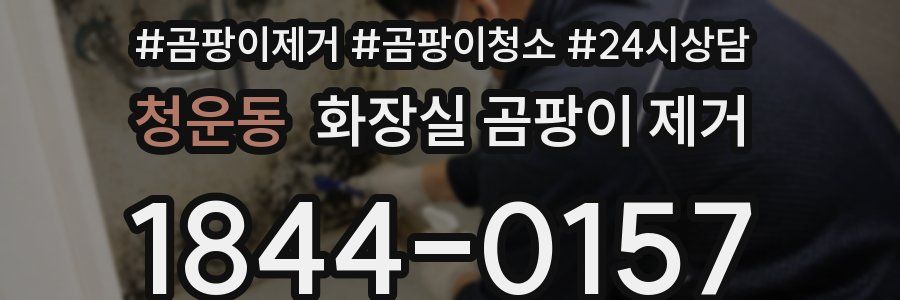 청운동 화장실 곰팡이 제거