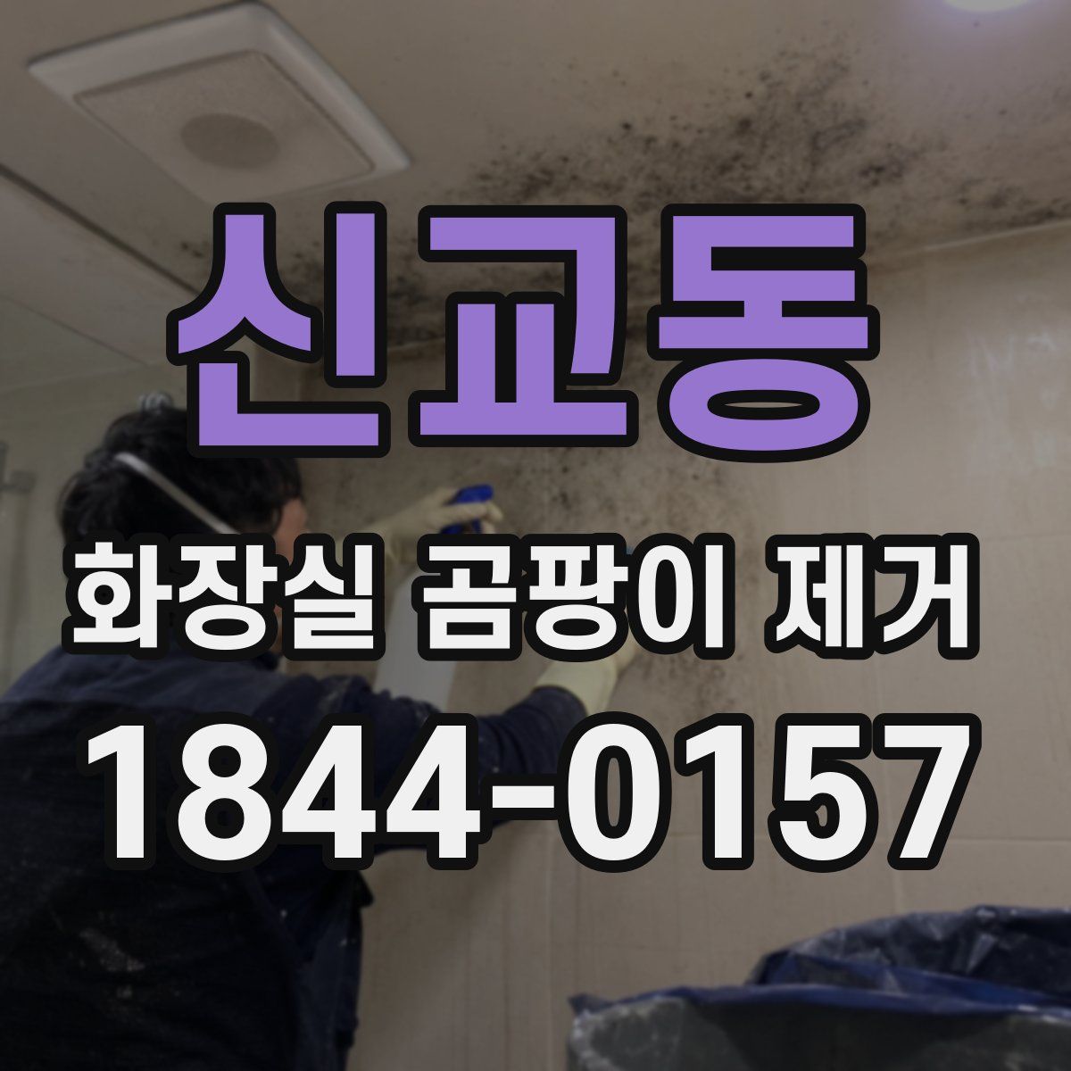 신교동 화장실 곰팡이 제거