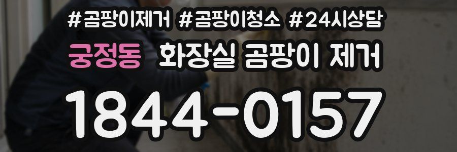궁정동 화장실 곰팡이 제거