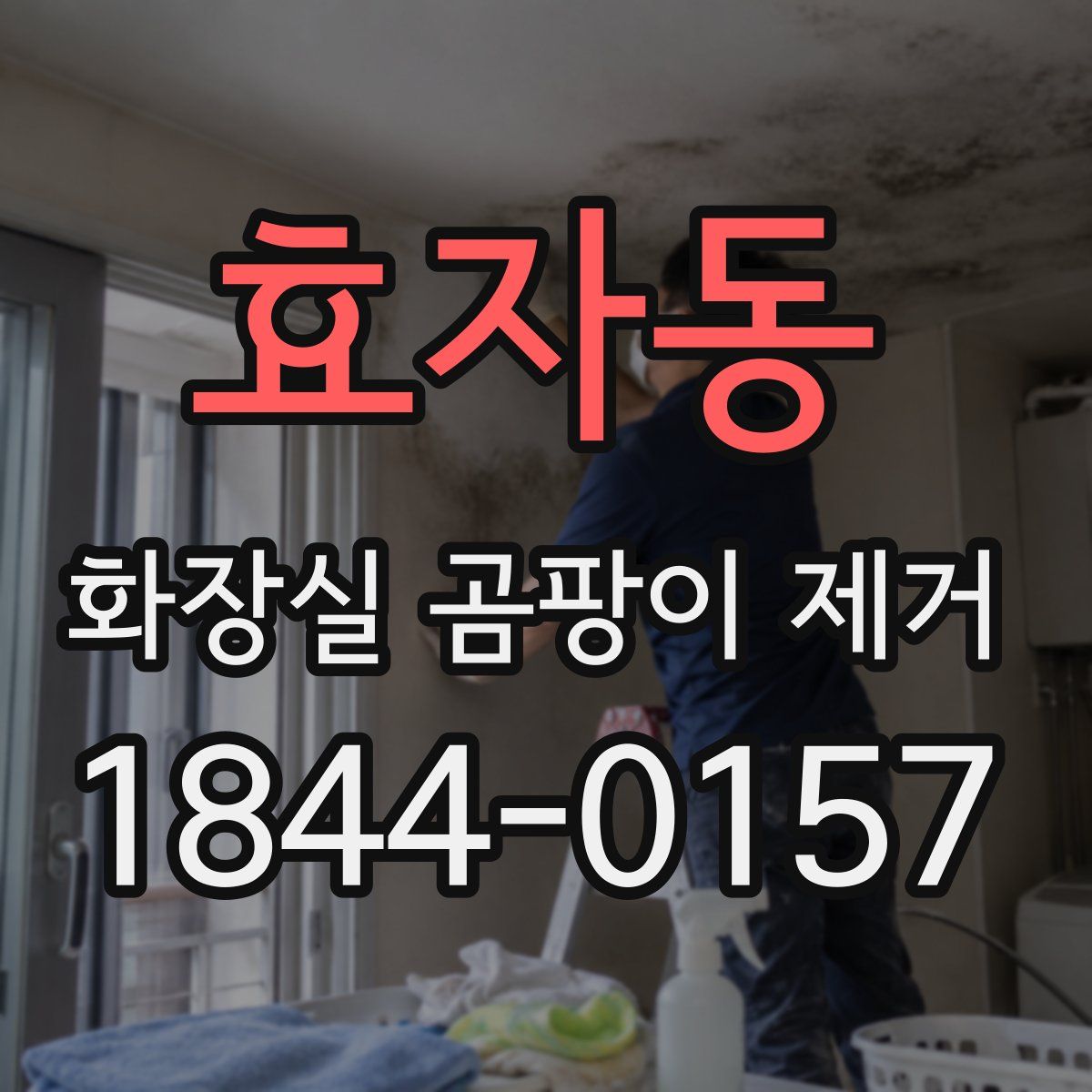 효자동 화장실 곰팡이 제거
