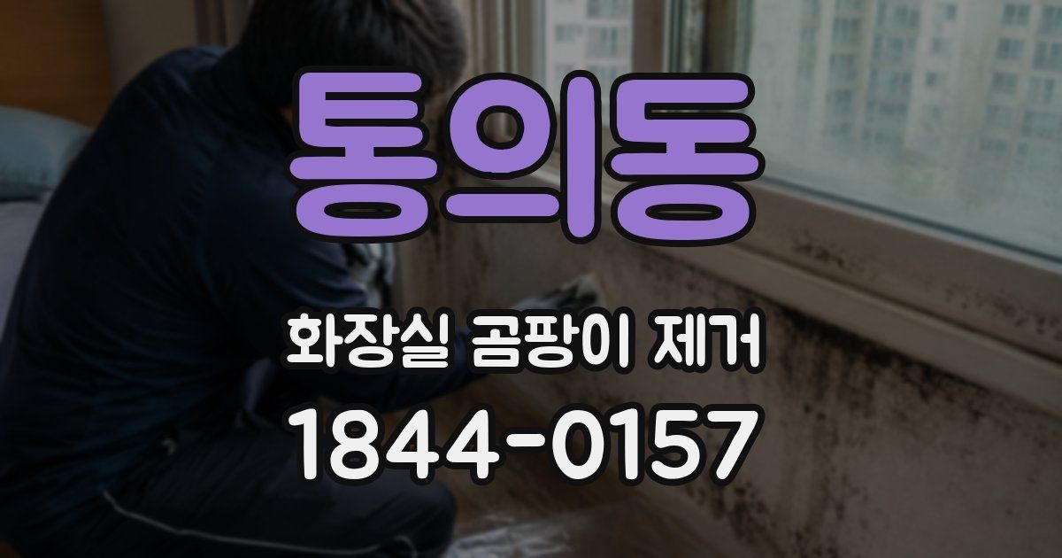 통의동 화장실 곰팡이 제거