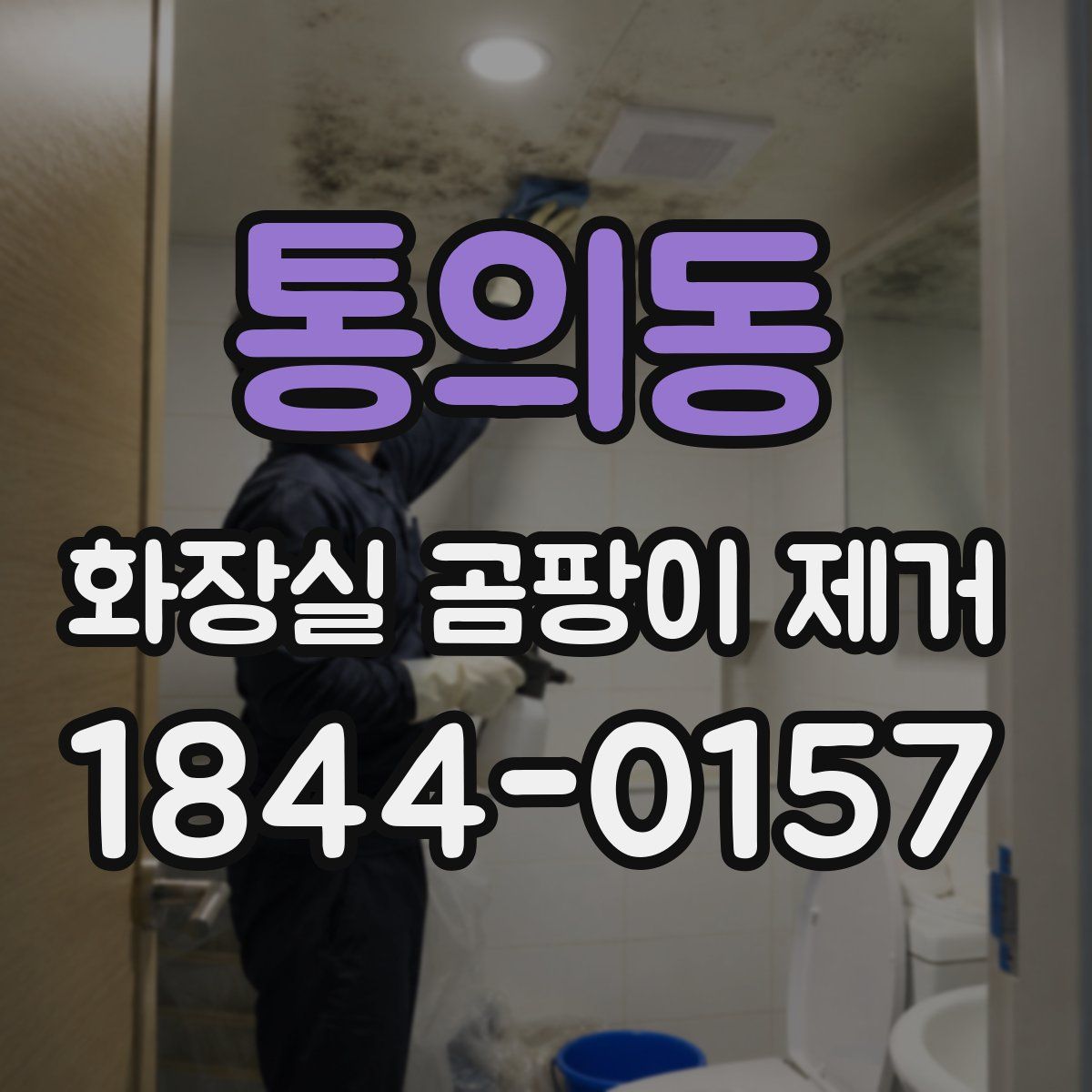 통의동 화장실 곰팡이 제거