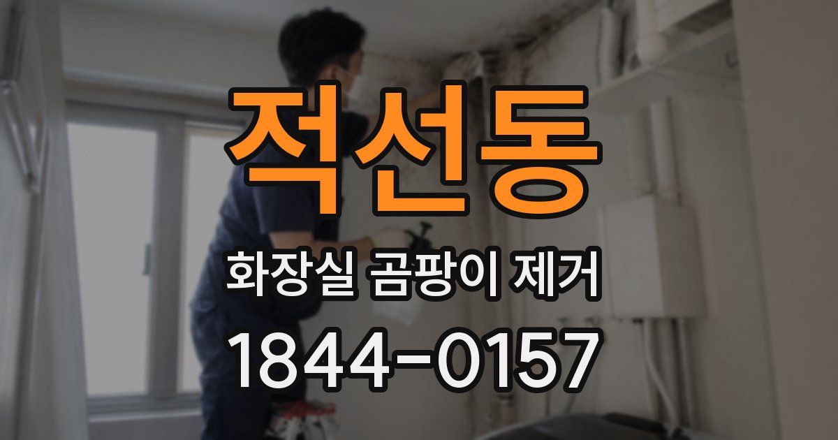 적선동 화장실 곰팡이 제거