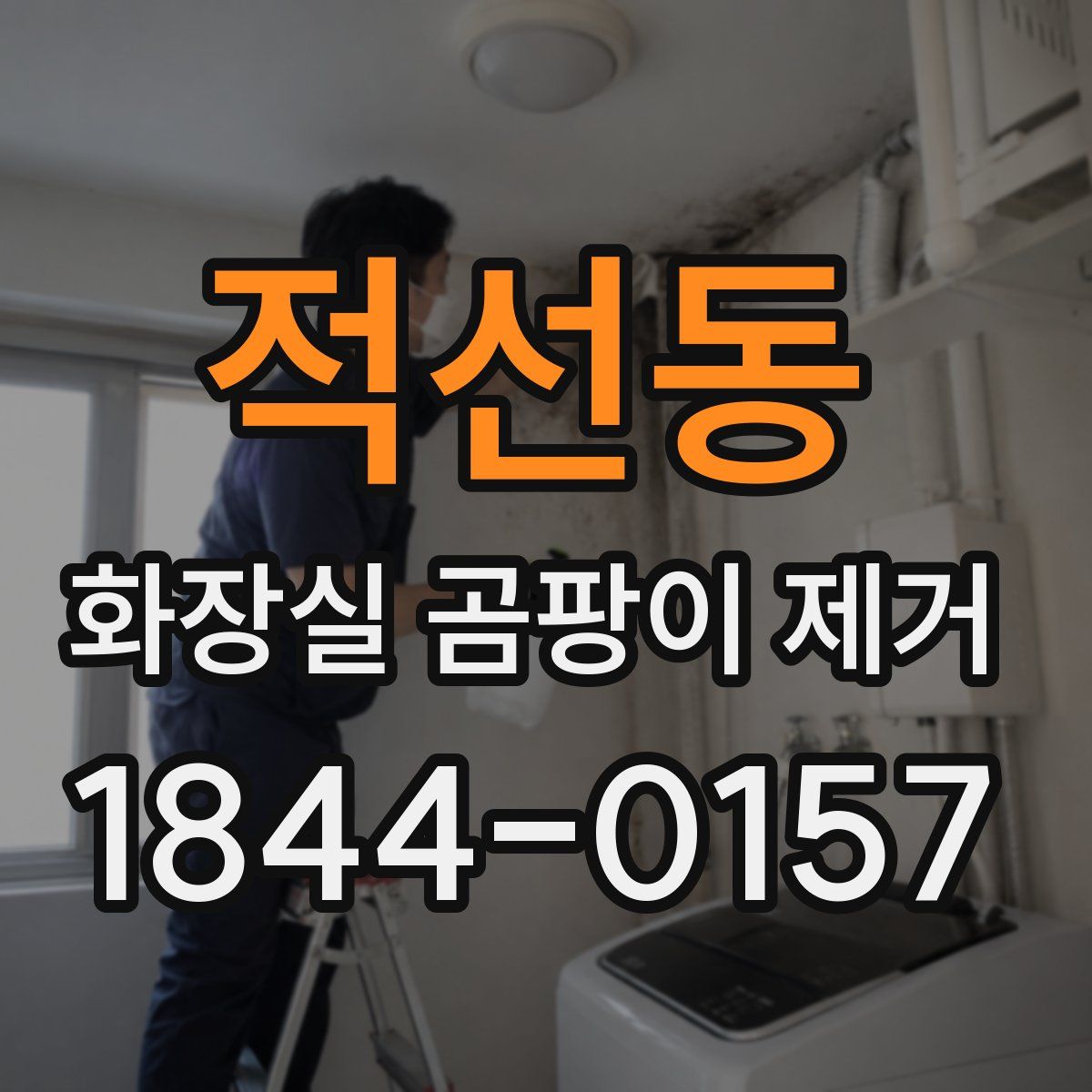 적선동 화장실 곰팡이 제거