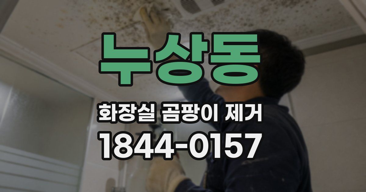 누상동 화장실 곰팡이 제거