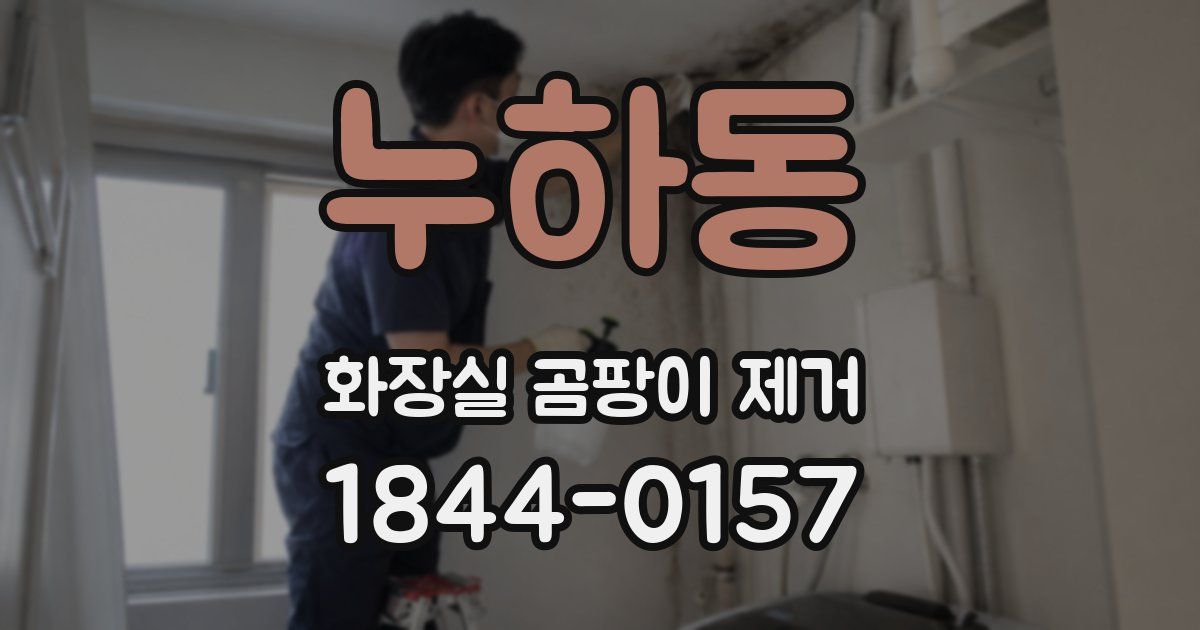 누하동 화장실 곰팡이 제거