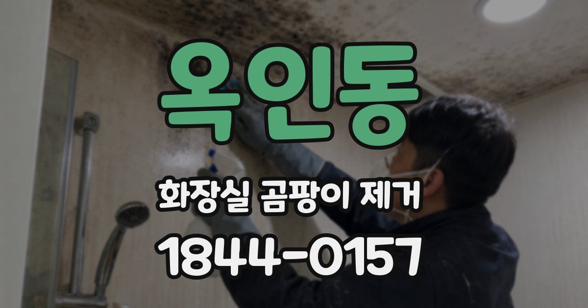 옥인동 화장실 곰팡이 제거