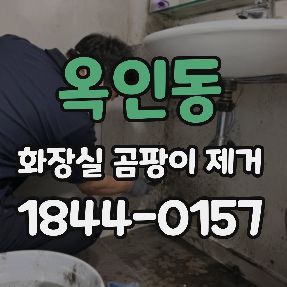 옥인동 화장실 곰팡이 제거