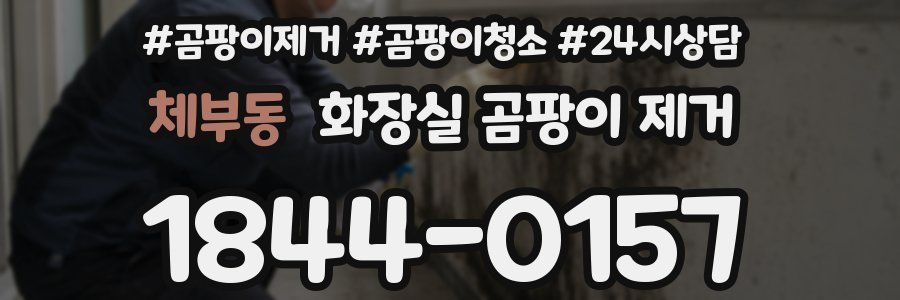 체부동 화장실 곰팡이 제거