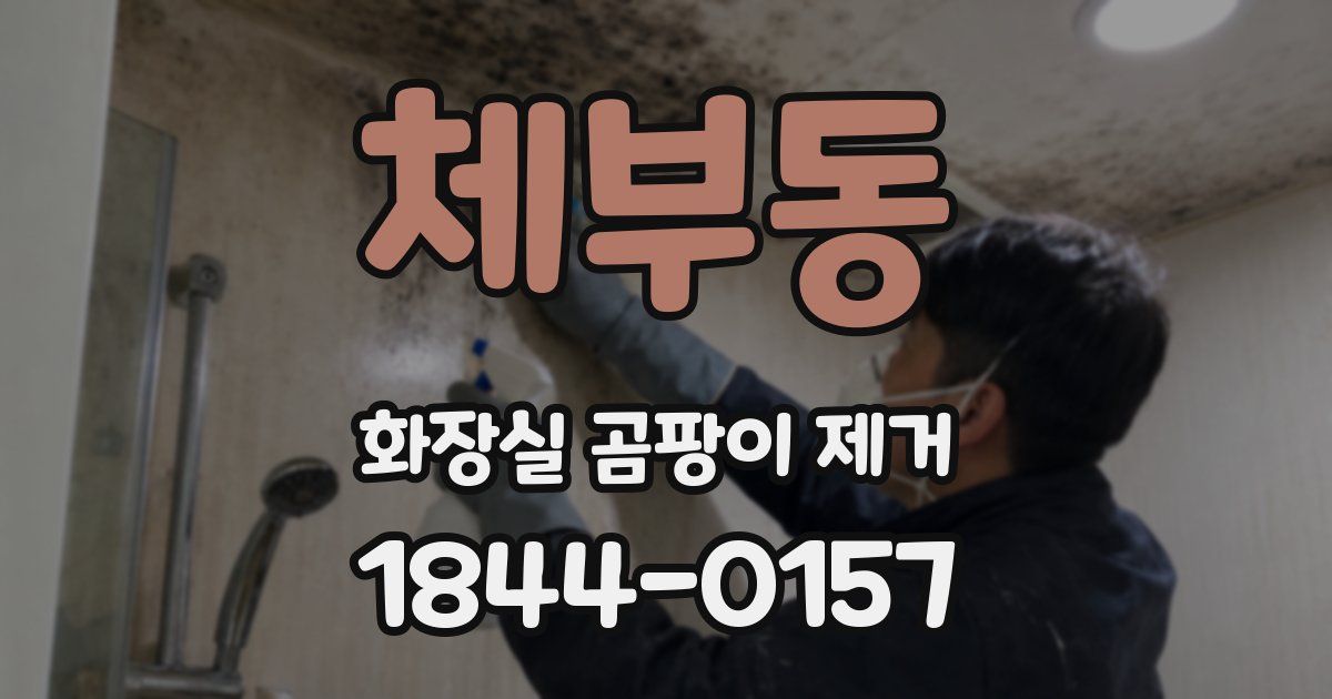 체부동 화장실 곰팡이 제거