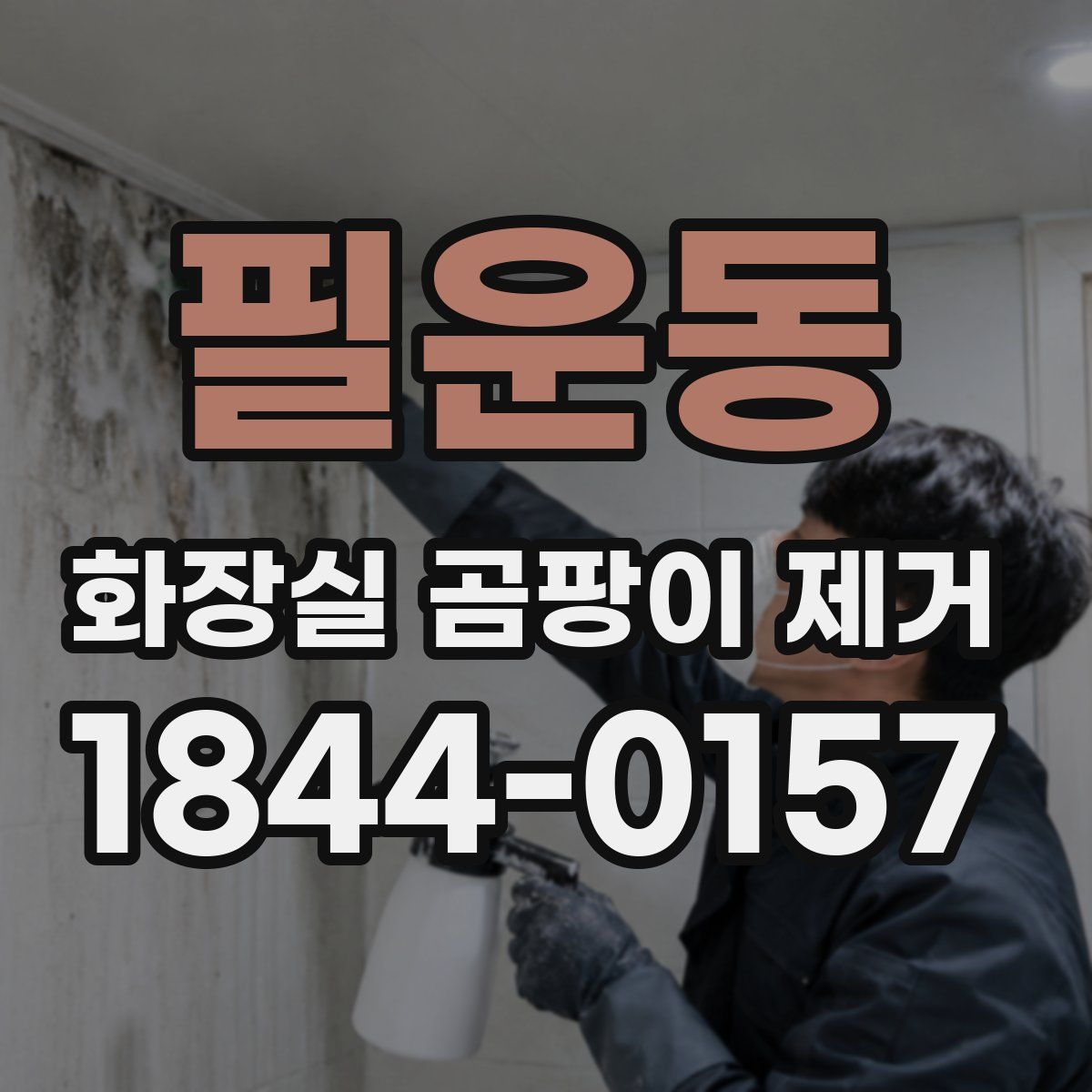 필운동 화장실 곰팡이 제거