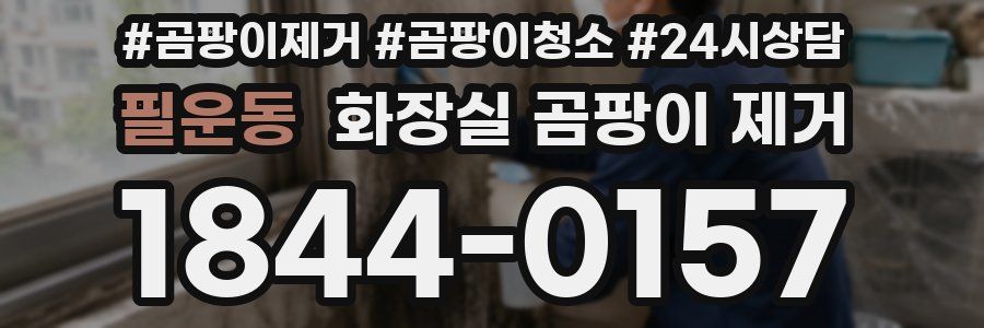 필운동 화장실 곰팡이 제거