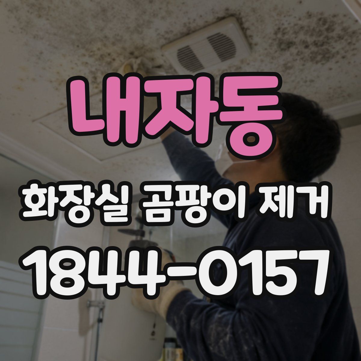 내자동 화장실 곰팡이 제거