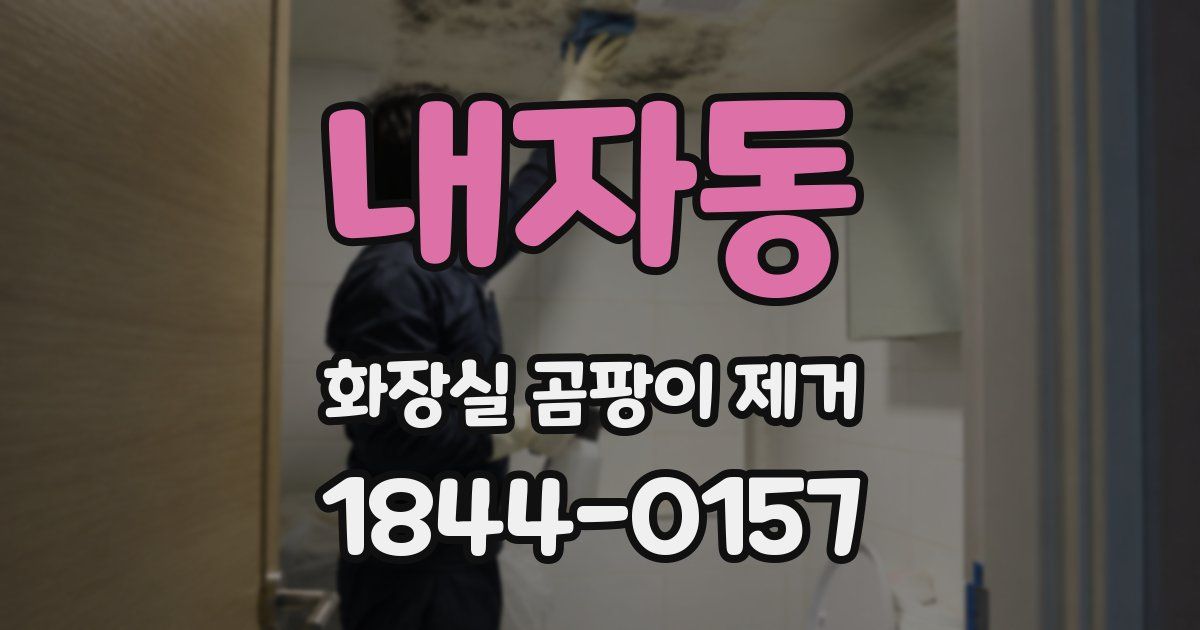 내자동 화장실 곰팡이 제거