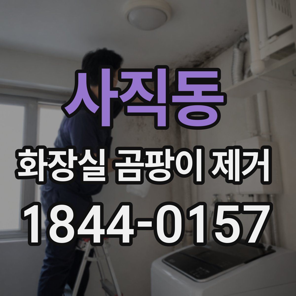 사직동 화장실 곰팡이 제거