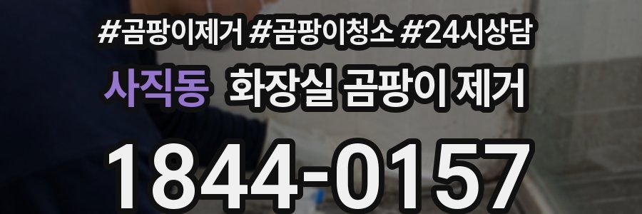 사직동 화장실 곰팡이 제거