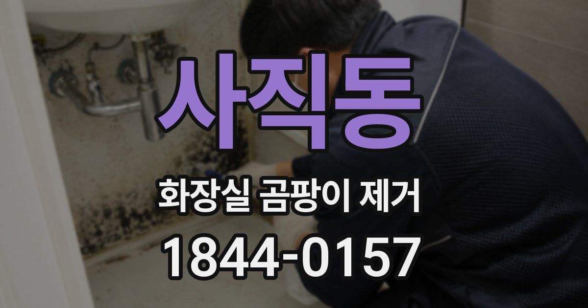사직동 화장실 곰팡이 제거
