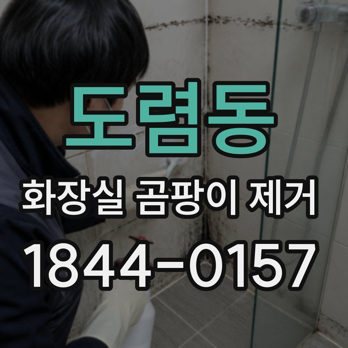 도렴동 화장실 곰팡이 제거