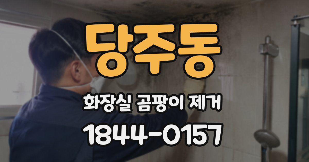 당주동 화장실 곰팡이 제거