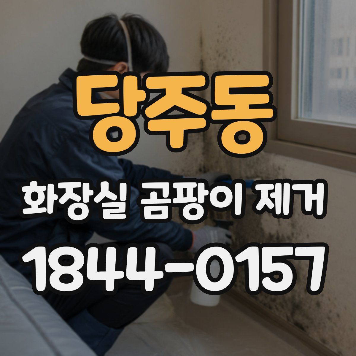 당주동 화장실 곰팡이 제거