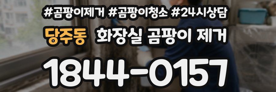당주동 화장실 곰팡이 제거