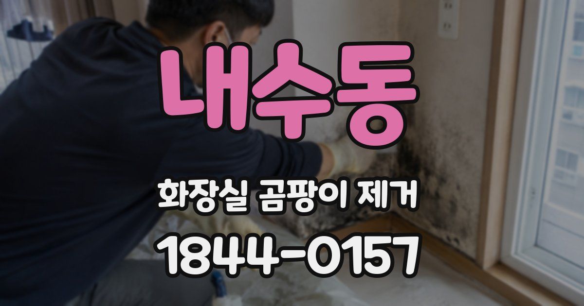 내수동 화장실 곰팡이 제거