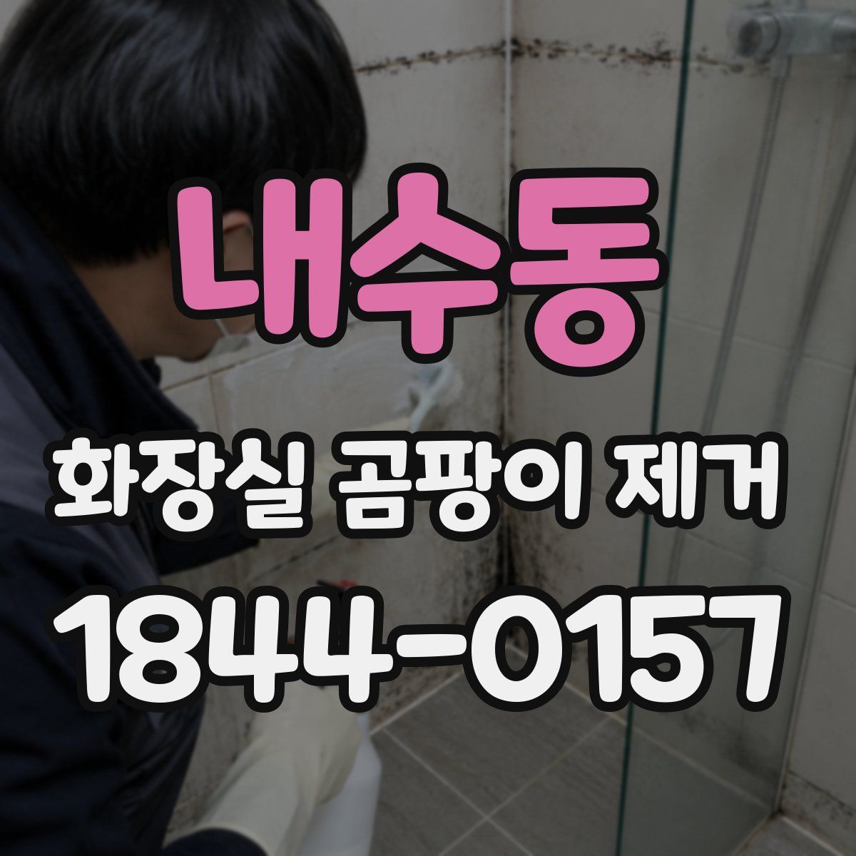 내수동 화장실 곰팡이 제거
