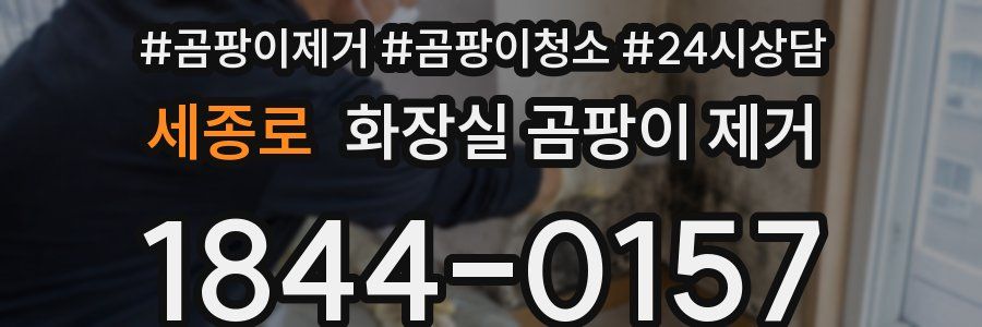 세종로 화장실 곰팡이 제거