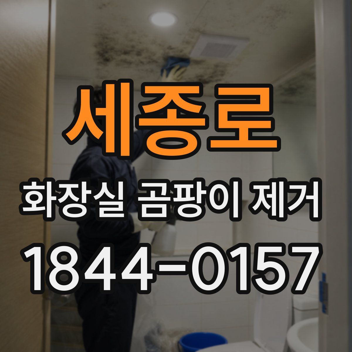 세종로 화장실 곰팡이 제거