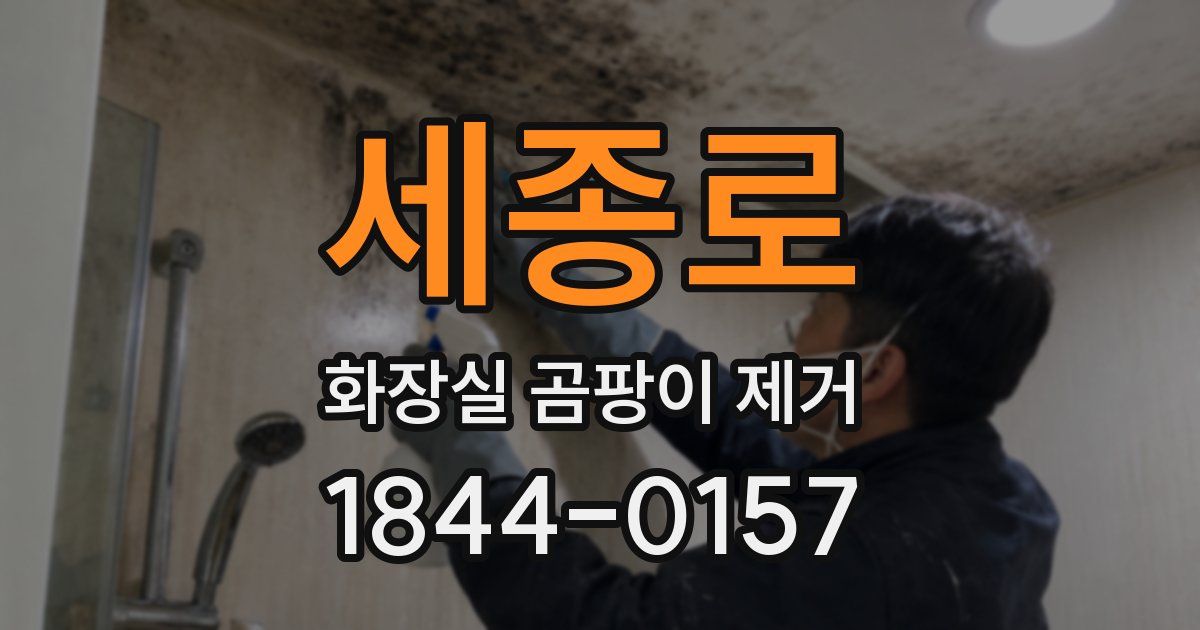 세종로 화장실 곰팡이 제거