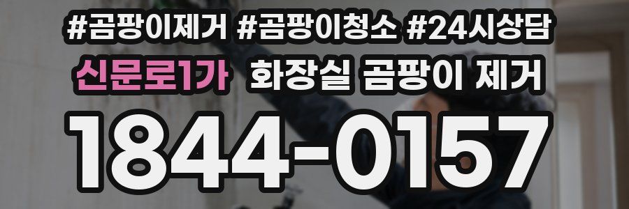 신문로1가 화장실 곰팡이 제거
