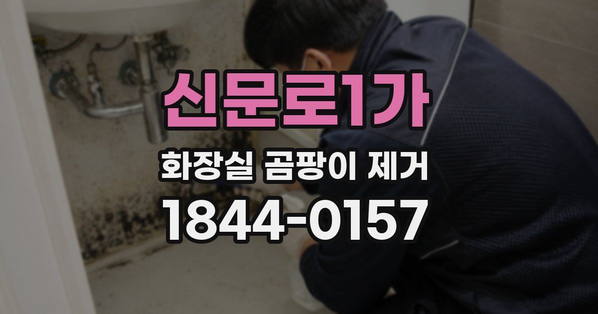 신문로1가 화장실 곰팡이 제거