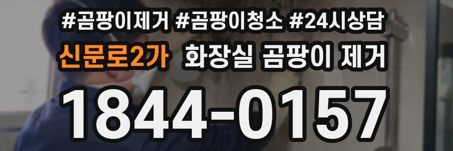신문로2가 화장실 곰팡이 제거