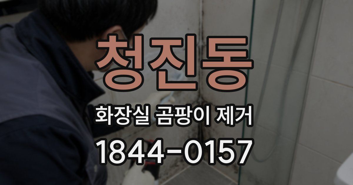청진동 화장실 곰팡이 제거